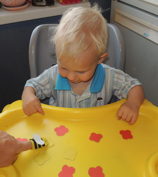 ТН 20 Как растут овощи. 1г 9 мес.