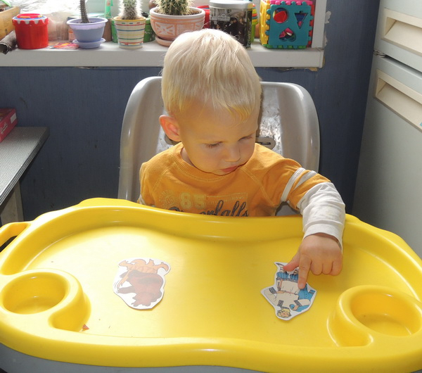 ТН 20 Как растут овощи. 1г 9 мес.