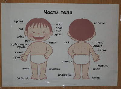 ТН 12 Человек. 1 г 4 мес