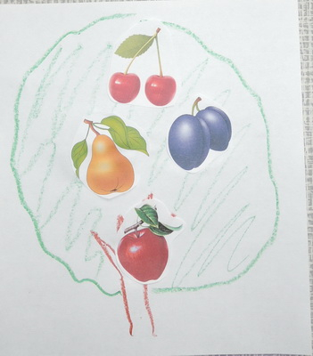 ТН 20 Как растут овощи. 1г 9 мес.