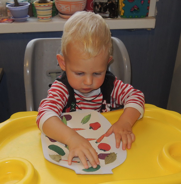 ТН 20 Как растут овощи. 1г 9 мес.