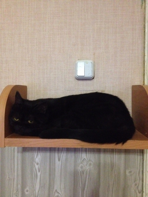 Мы сделали это!