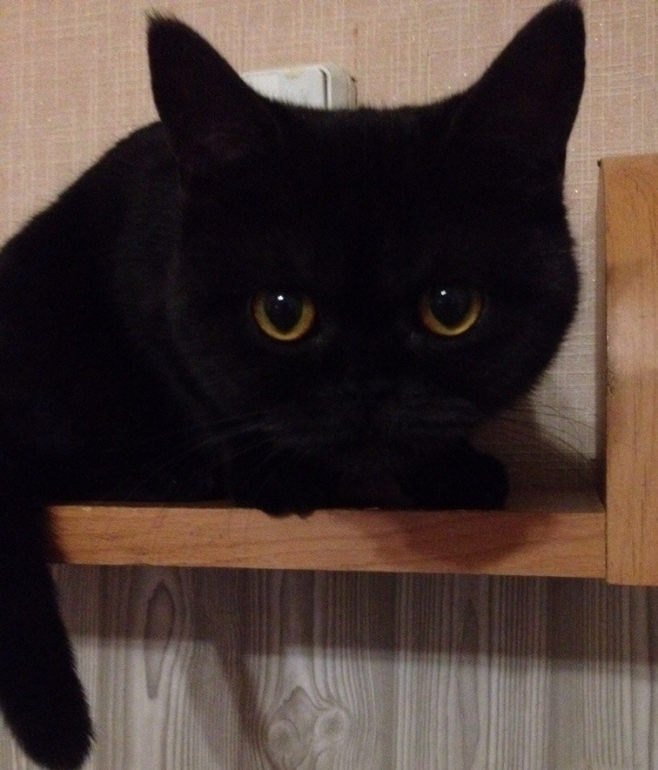 Мы сделали это!