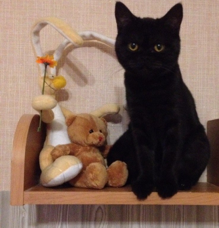 Мы сделали это!