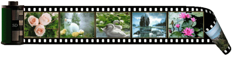 Оригинальные подарки