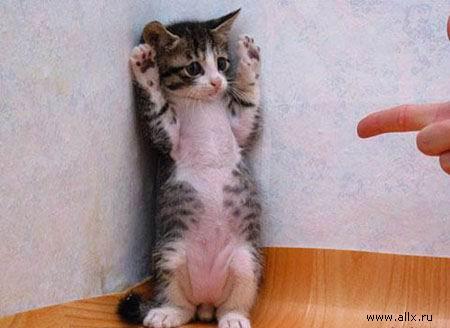 10 декабря. Ежедневник