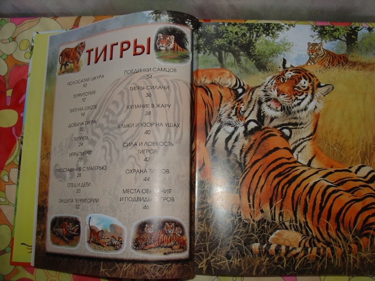 Мир животных, энциклопедия.