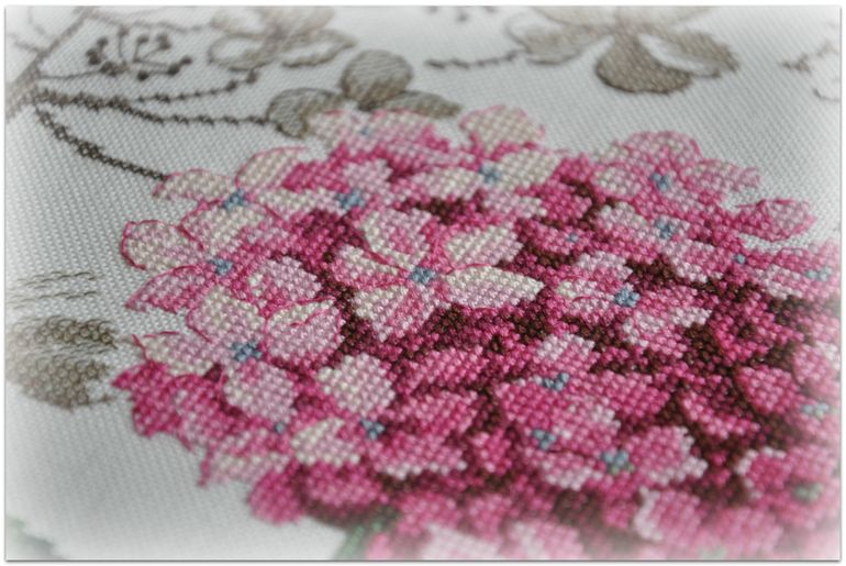 Гортензия, Véronique Enginger