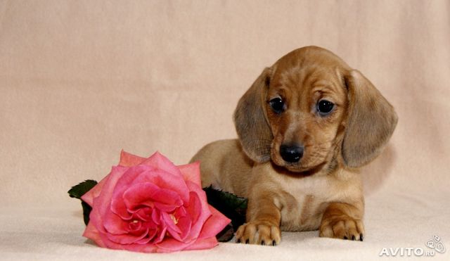 Мой старый пост и 2 года спустя)))