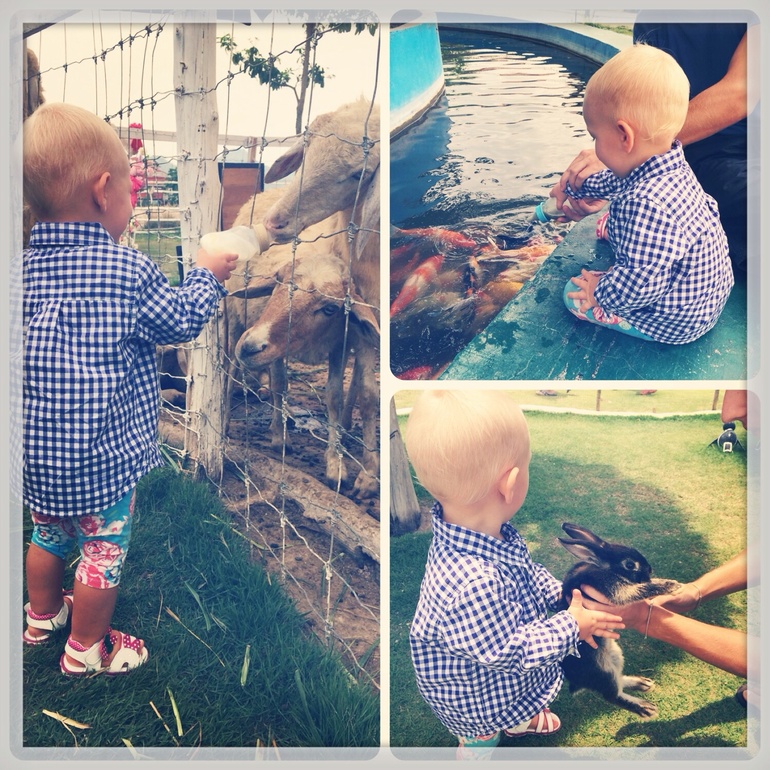 Девочка, платье и ферма