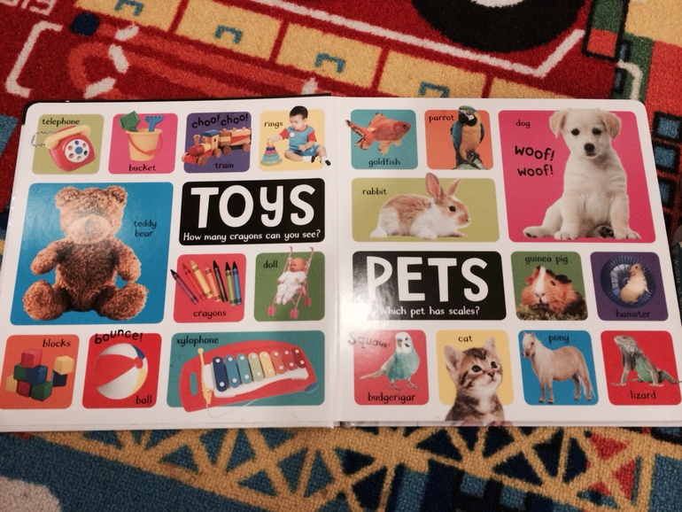 Девочка из культурной столицы )