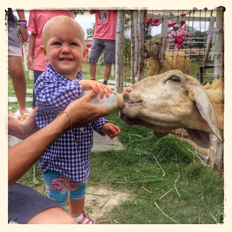 Девочка, платье и ферма