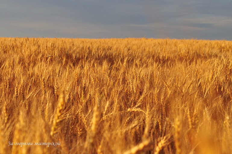Багетная мастерская