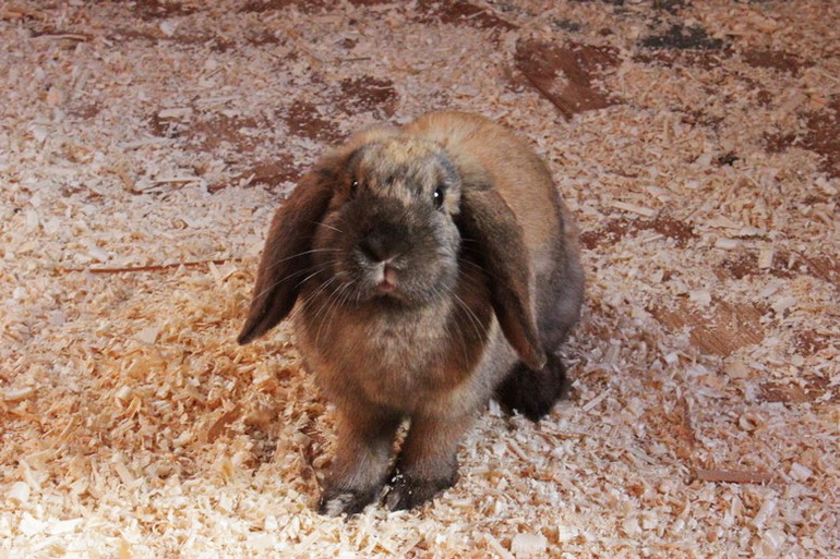 Девчачьи вылазки. Часть первая - трогательная