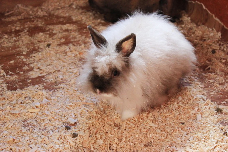 Девчачьи вылазки. Часть первая - трогательная