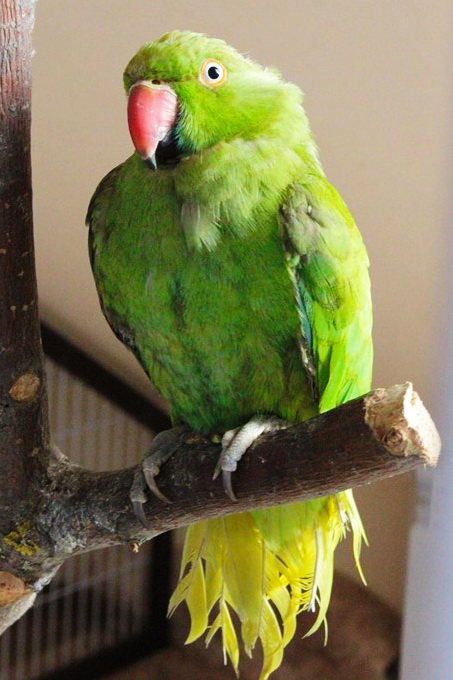 Девчачьи вылазки. Часть первая - трогательная