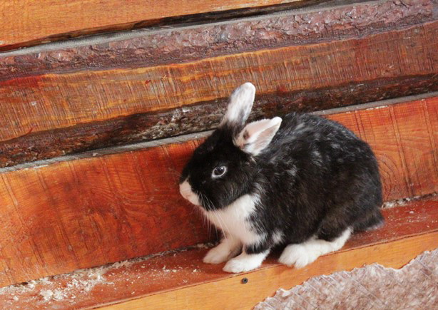 Девчачьи вылазки. Часть первая - трогательная