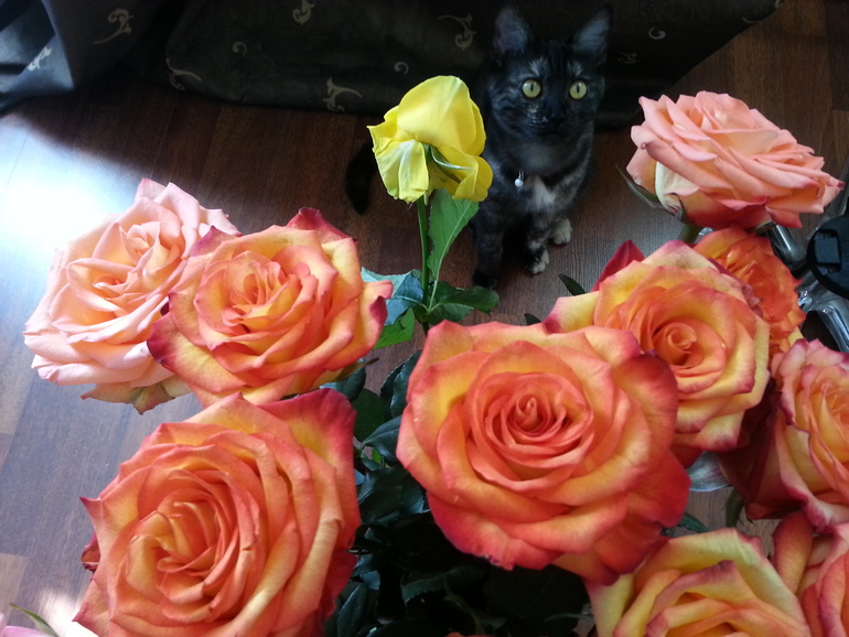 Барселона в цветах