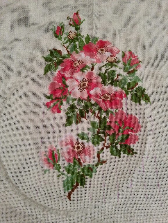 Шиповник. Как оформить?