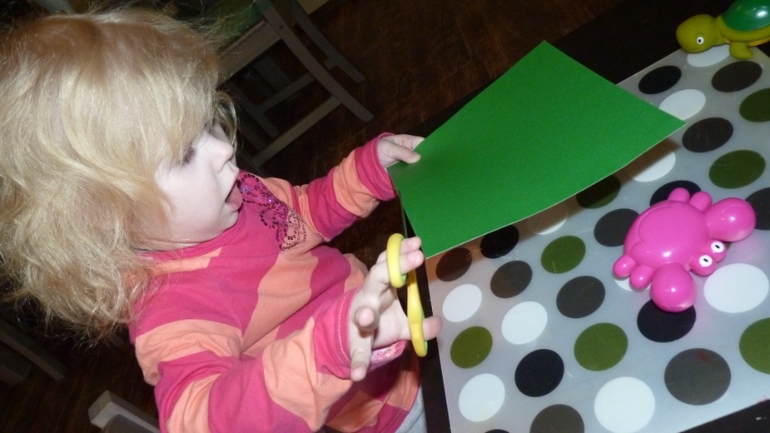 ТН Море: краб и черепаха. День 4