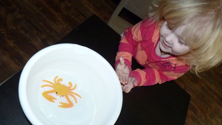 ТН Море: краб и черепаха. День 4