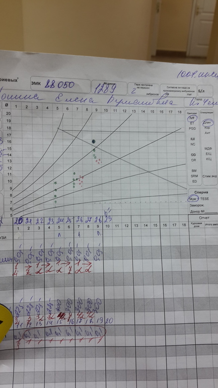 9 день стимуляции