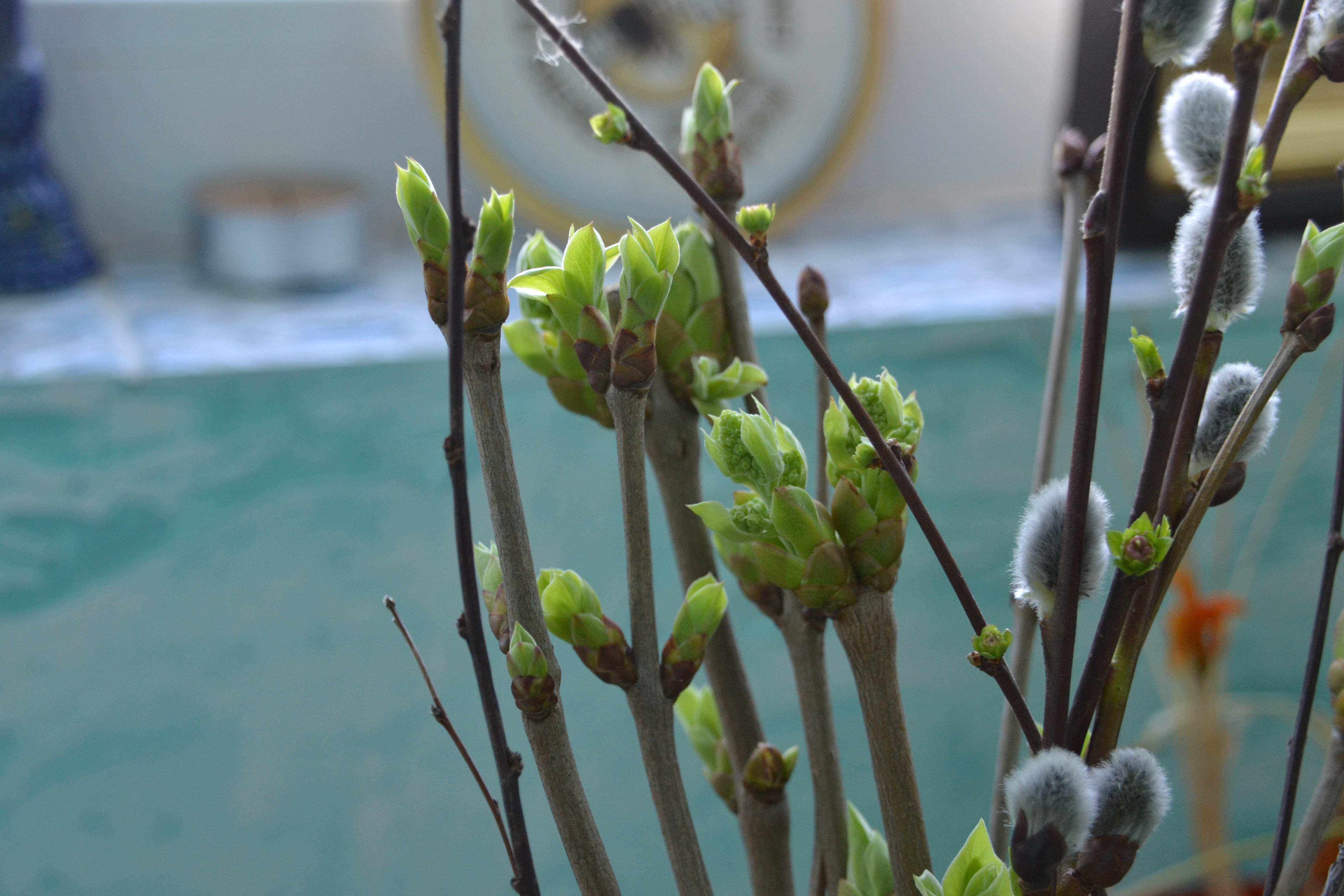 Ближе к природе