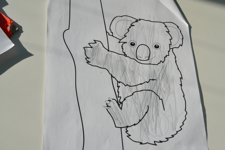 ТН Австралия