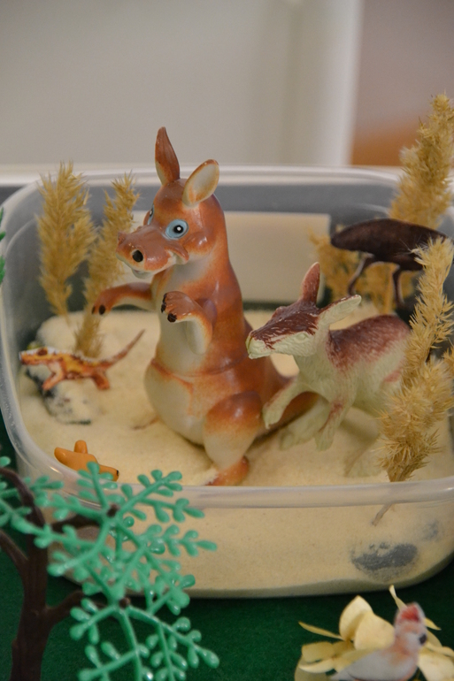 ТН Австралия