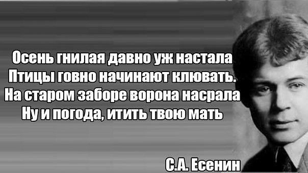 9f01a8ddbc95f860ca0578fd5999c19e.jpg