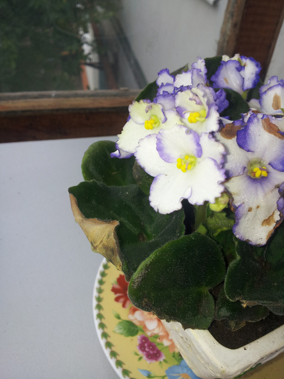 Помогите начинающей