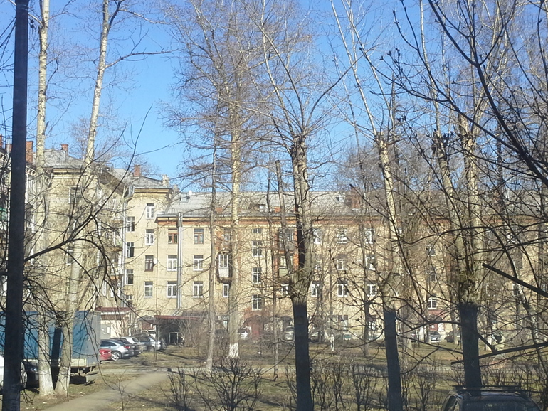 Весна! Грачи прилетели! Или как меня задолбали учличные вздыхатели и советчики.