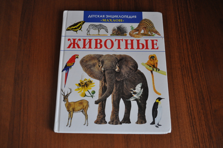 Наши любимые книги