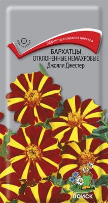 Огород 2014. Посев.