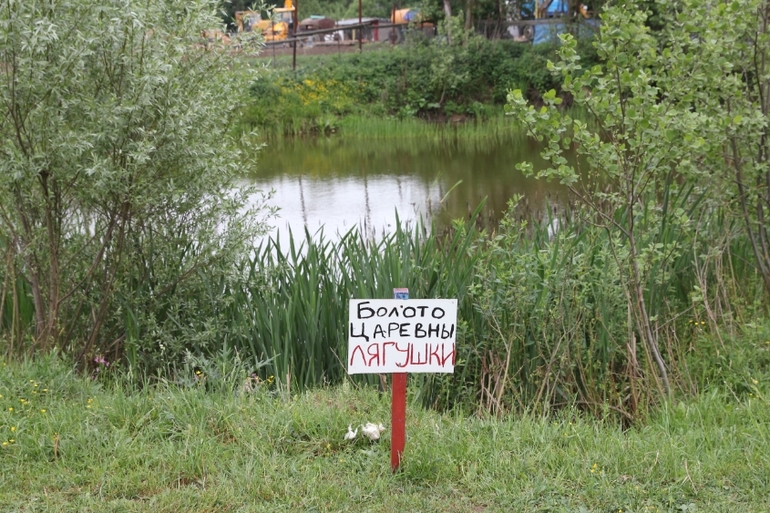 День Рождения Сашульки