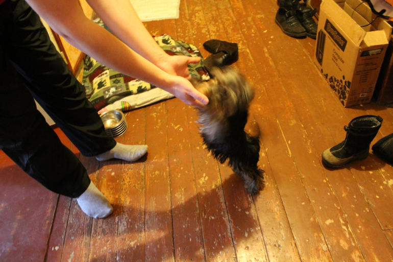 Привет от Зефирки