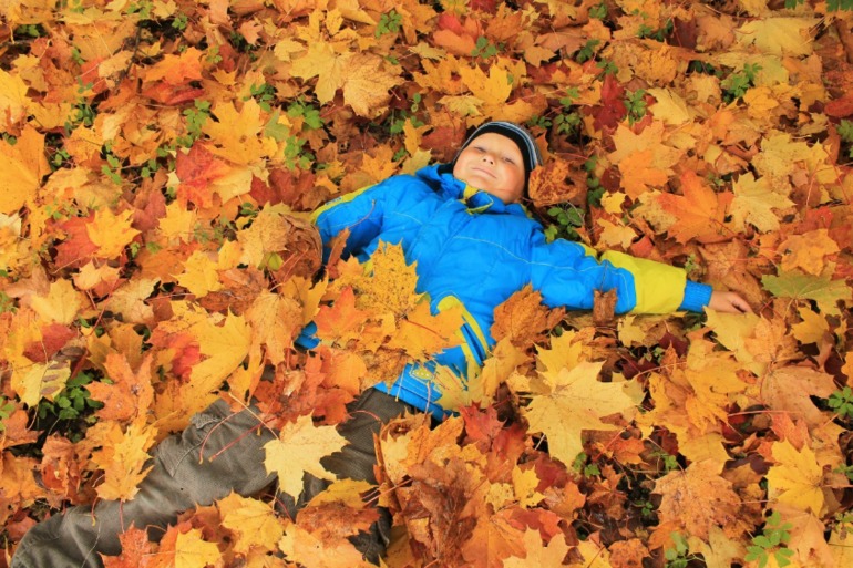 И у нас наступила золотая осень