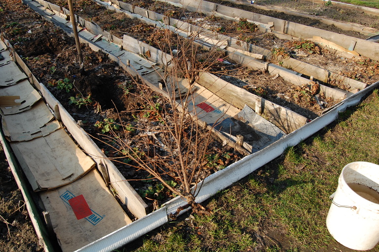 Весна пришла с сюрпризами.