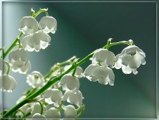 1d6baa57eef7eebbc12ac022dae890a6.jpg