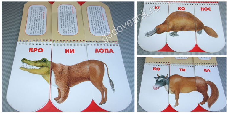 Для обучения чтению: