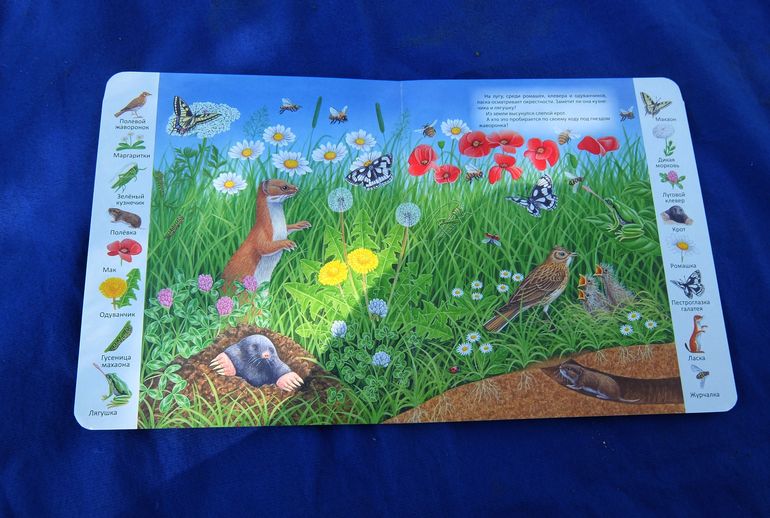 Новая эпоха...