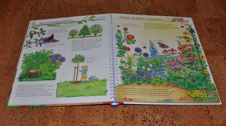 Весенние книги и произведения, 2 - 3 года