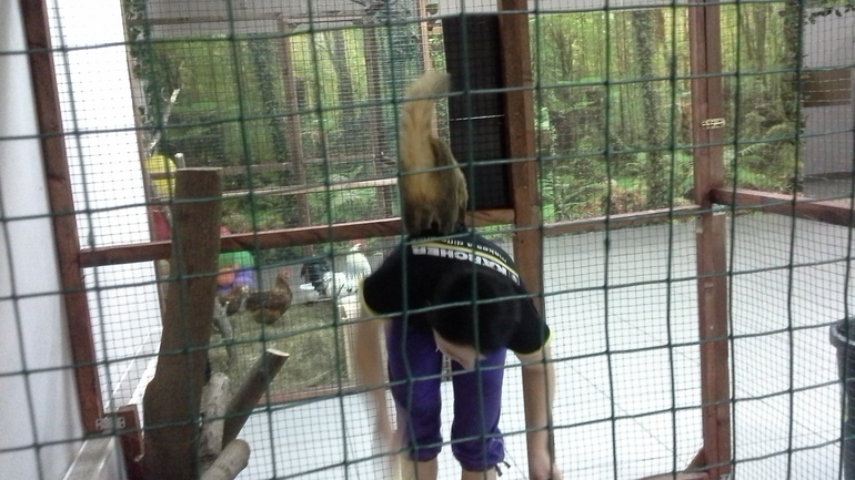 Про Любин ДР