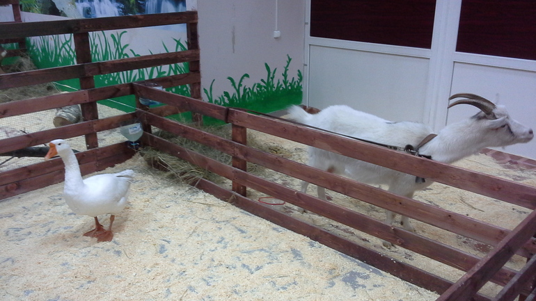 Про Любин ДР