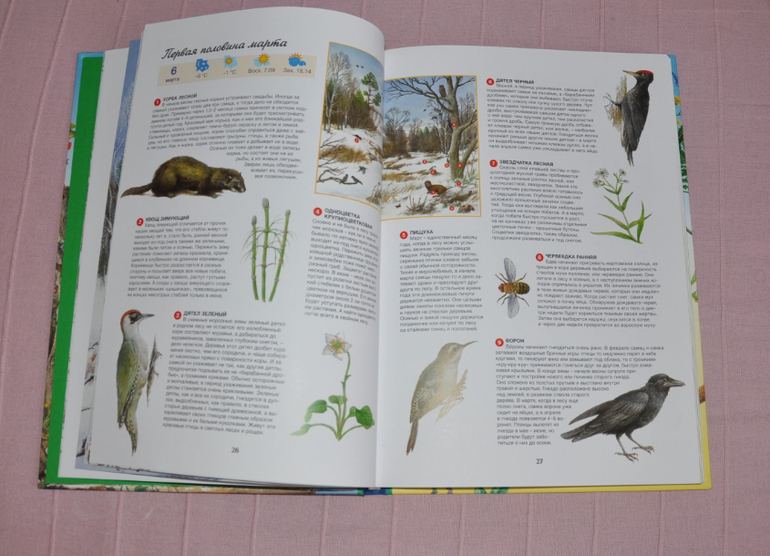 Весенние книги и произведения, 2 - 3 года