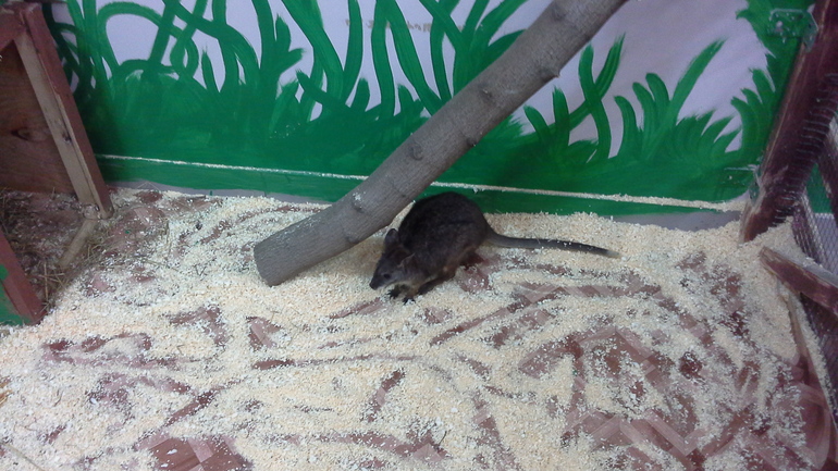 Про Любин ДР