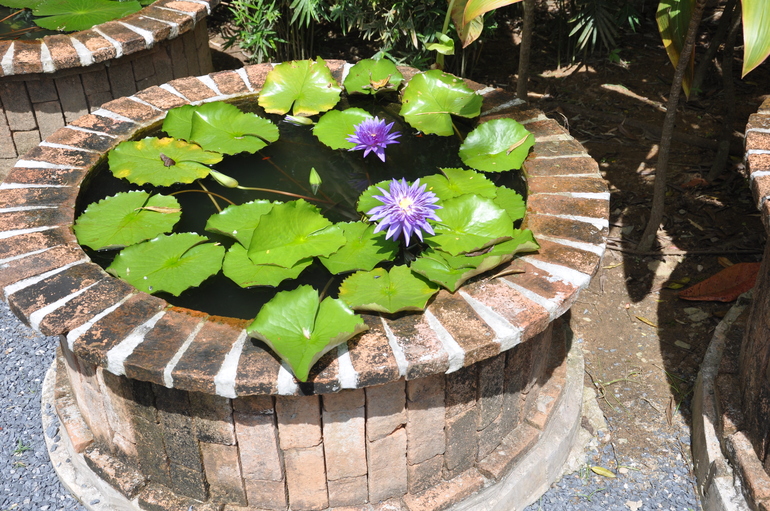 Phuket Botanic Garden