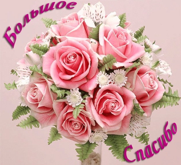 a64d2756df89f0665fce9bfb97845111.jpg