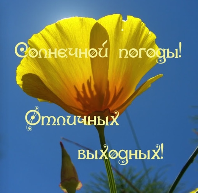 99def07880bc35807e33cb804bd1c57f.jpg