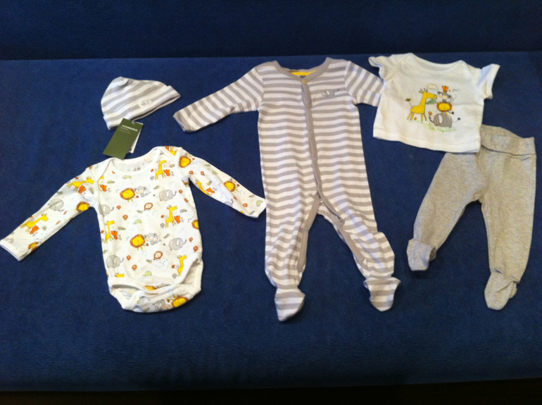 Обновки для морковки